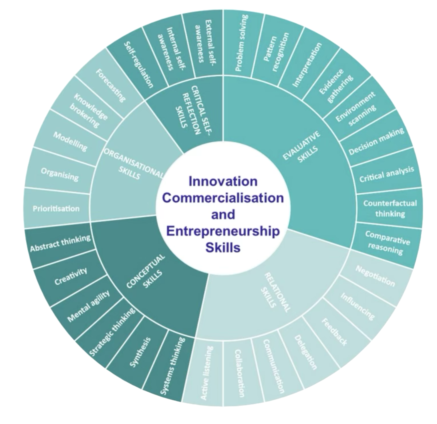 ICE Skills Framework wheel